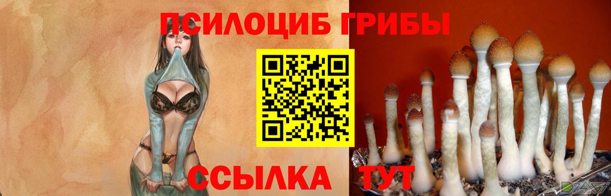 Псилоцибиновые грибы мицелий  Вход с VPN  Гай  Псилоцибиновые грибы прущие грибы 